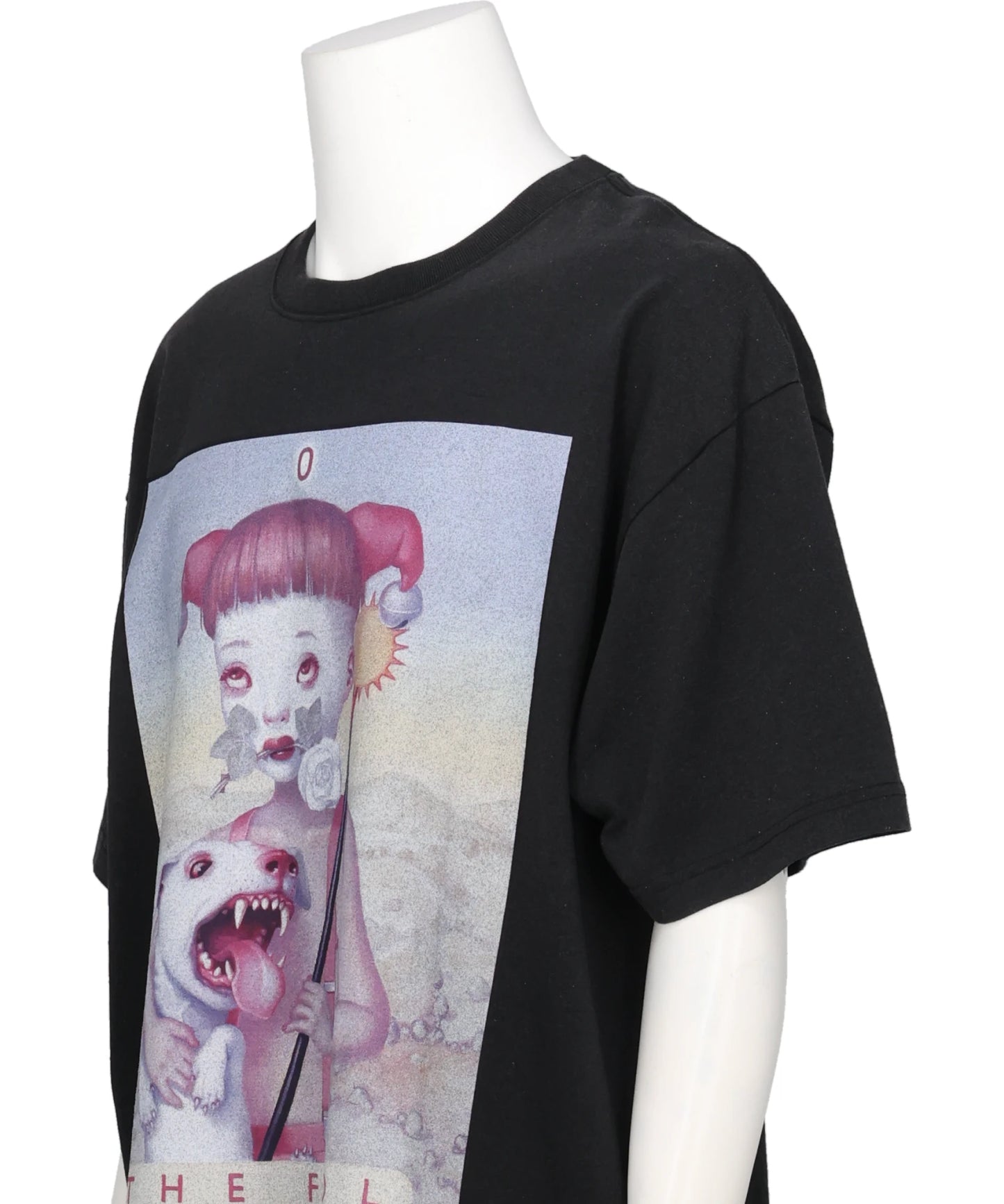 THE FOOL T-SHIRT BIOWASHED ARTWORK BY TREVOR BROWN