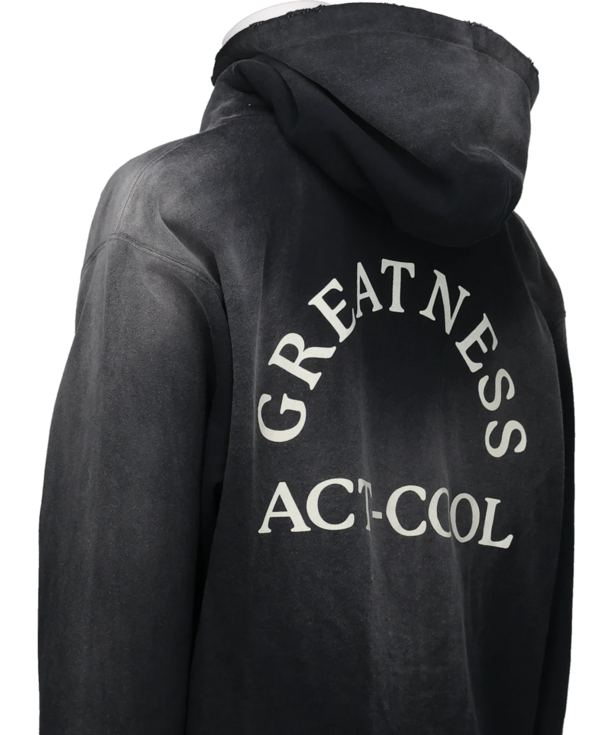 "GREATNESS ACT-COOL"EMBROIDERED ZIP HOODIE