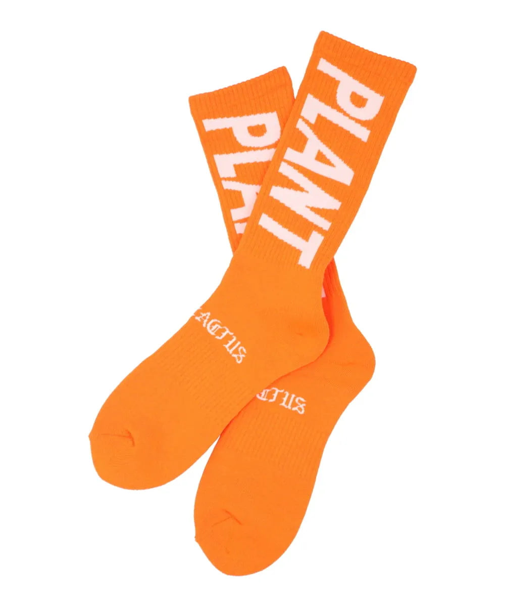 SAINT Mxxxxxx・ス~cactus plant flea market SNT PLANT CP_SOCKS