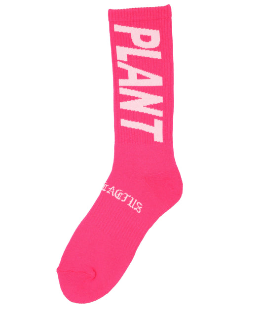 SAINT Mxxxxxxテ欲cactus plant flea market SNT PLANT CP_SOCKS