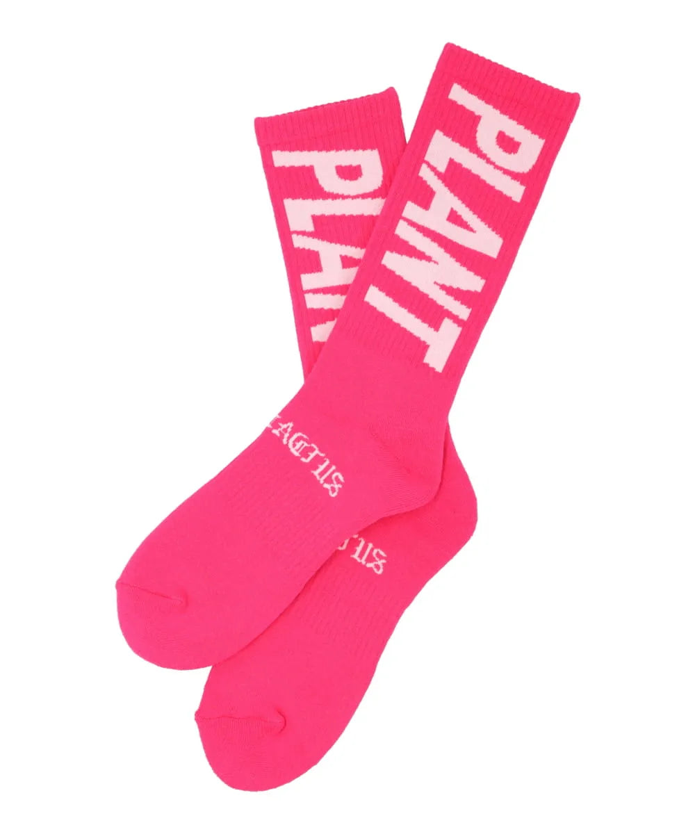 SAINT Mxxxxxxテ欲cactus plant flea market SNT PLANT CP_SOCKS