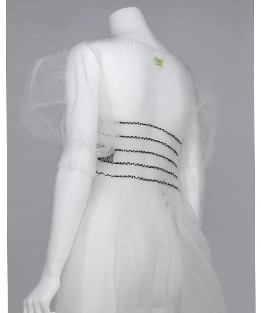 CLEAR SPECTER BIG PUFF SLEEVE DRESS