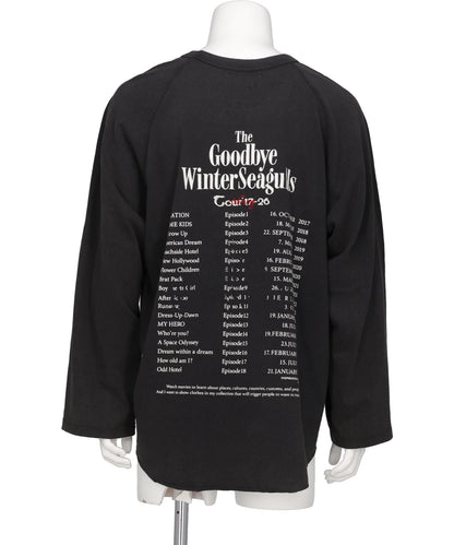 "THE WINTER SEAGULS" TOUR RAGLAN TEE