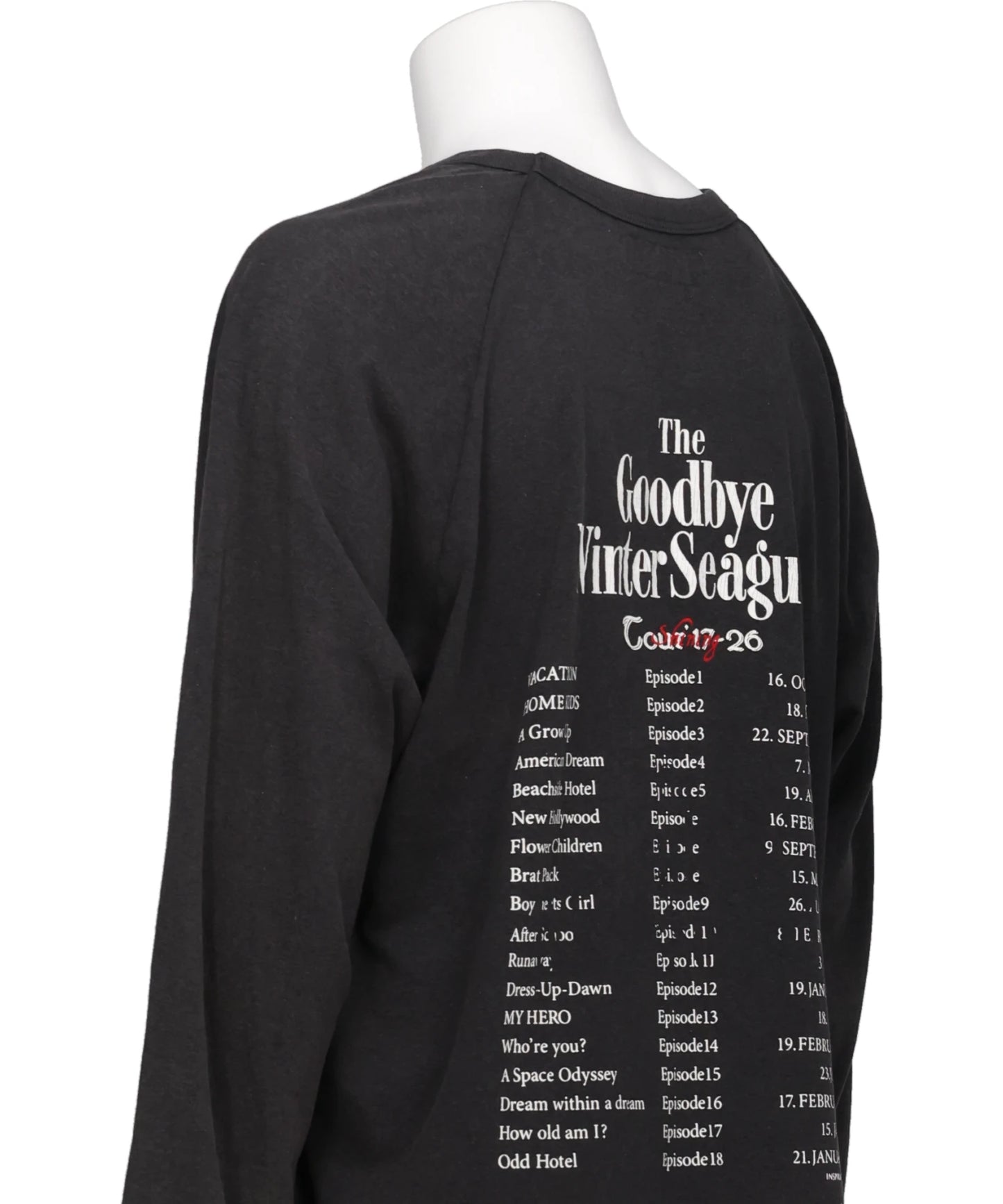 "THE WINTER SEAGULS" TOUR RAGLAN TEE