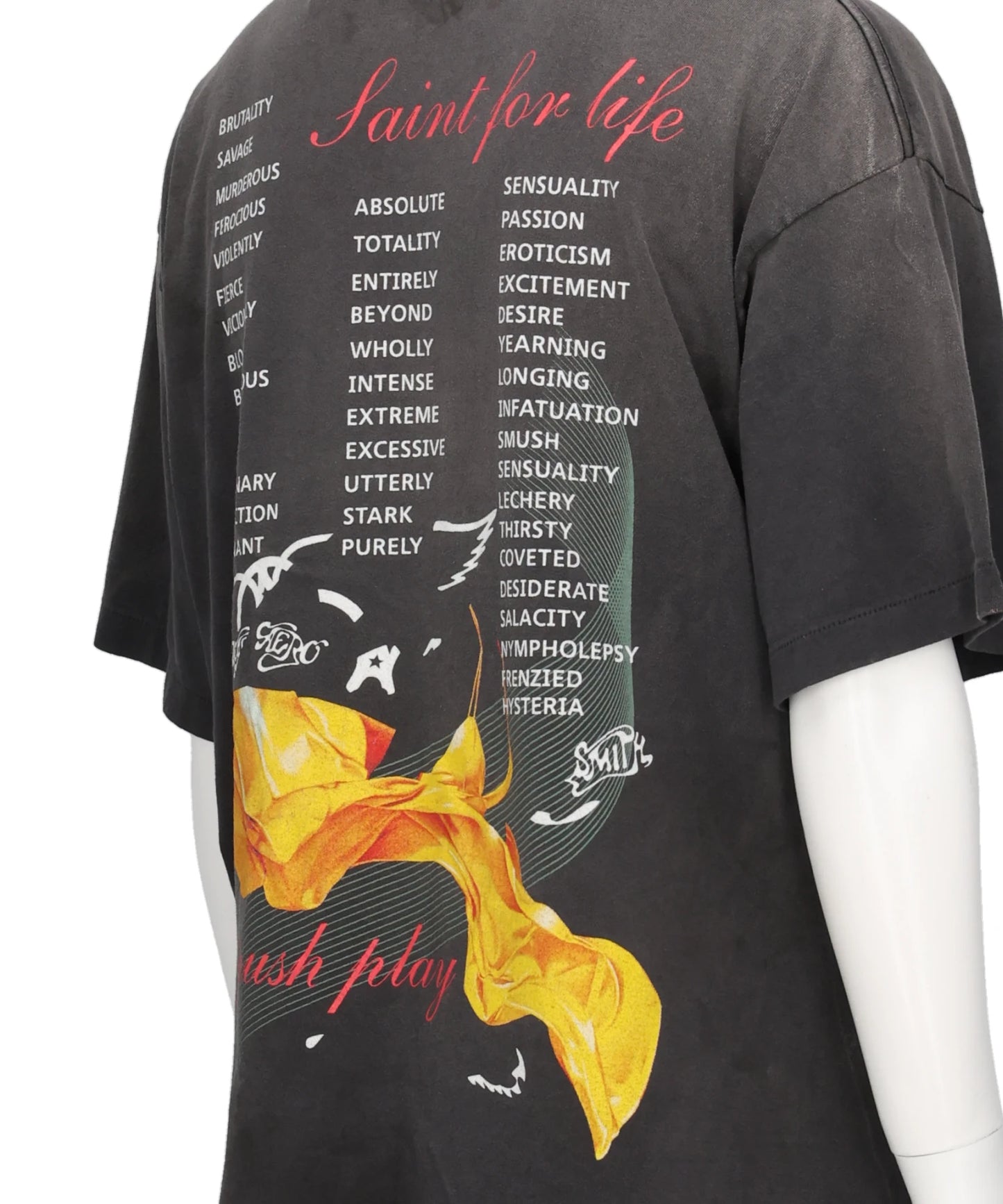 AS_SS T-SHIRT/AEROSMITH