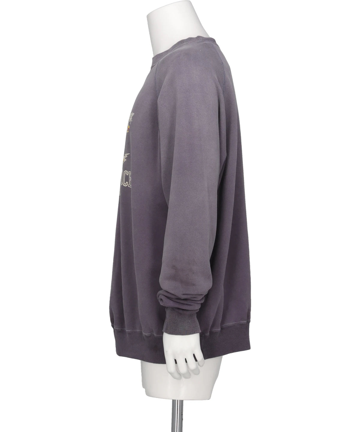 RAGLAN CRW N SWT/LIFE FORCE