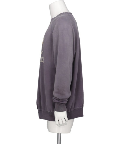 RAGLAN CRW N SWT/LIFE FORCE
