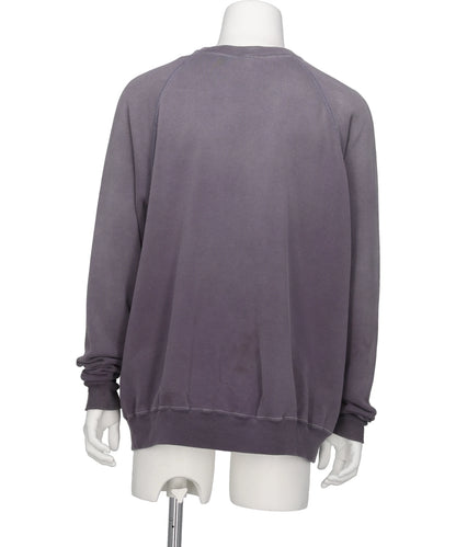 RAGLAN CRW N SWT/LIFE FORCE