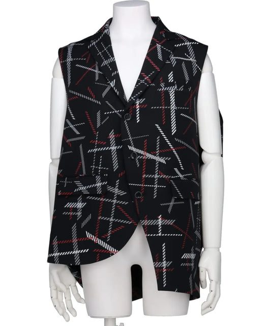 WIND BLOW CHECK BALL JACKET VEST
