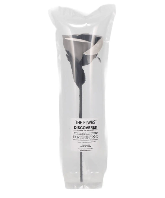 KAJIF NYLON Ri(DARS) 02 FLOWER