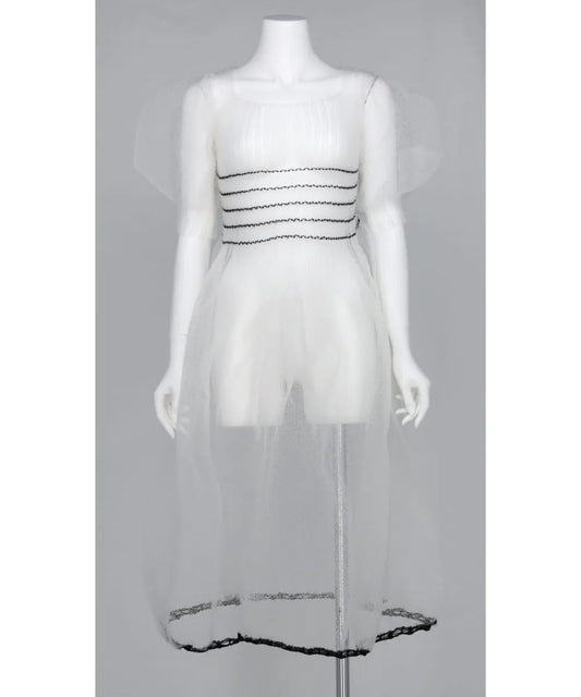 CLEAR SPECTER BIG PUFF SLEEVE DRESS
