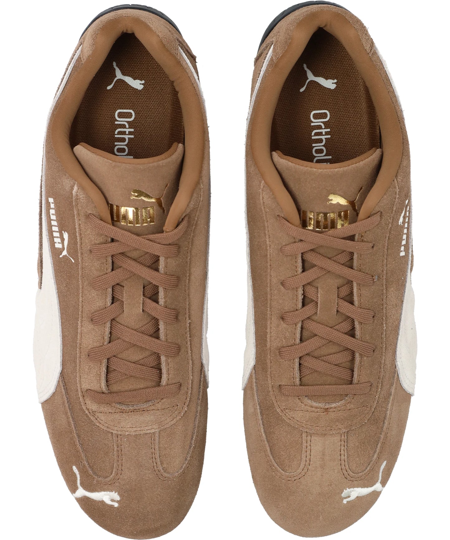 SPEEDCAT OG - HAUTE COFFEE-FROSTED IVORY