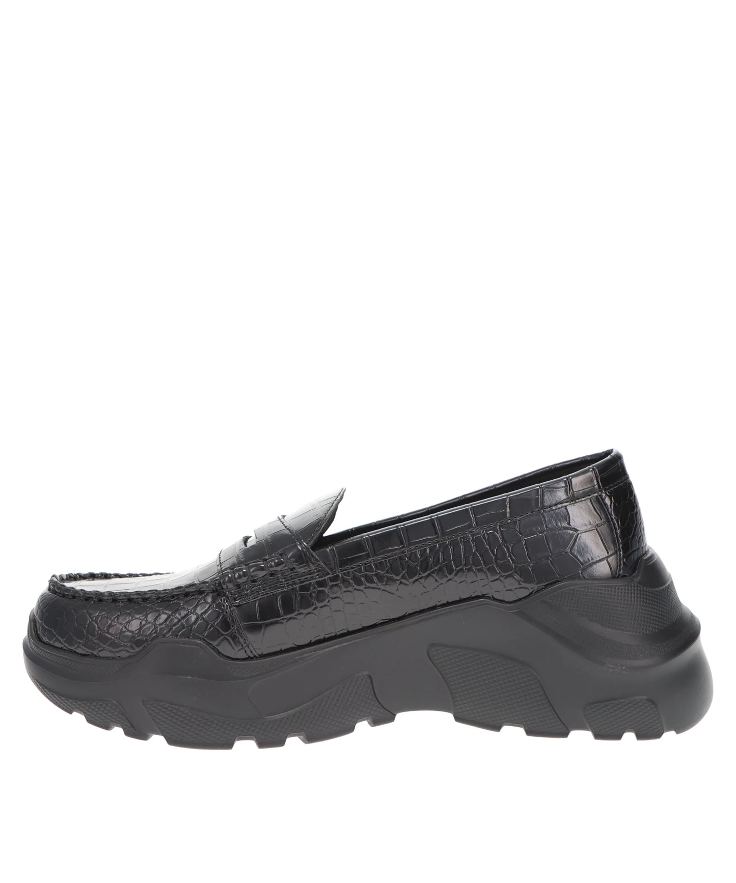 REGULATED GRAVITY-CROCODILE