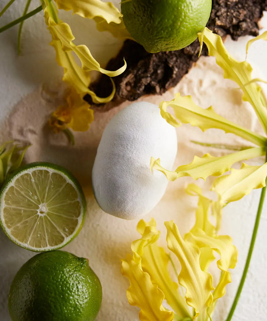 FRAGRANCE BATH BOMB/NO.4NORTHERN LAND