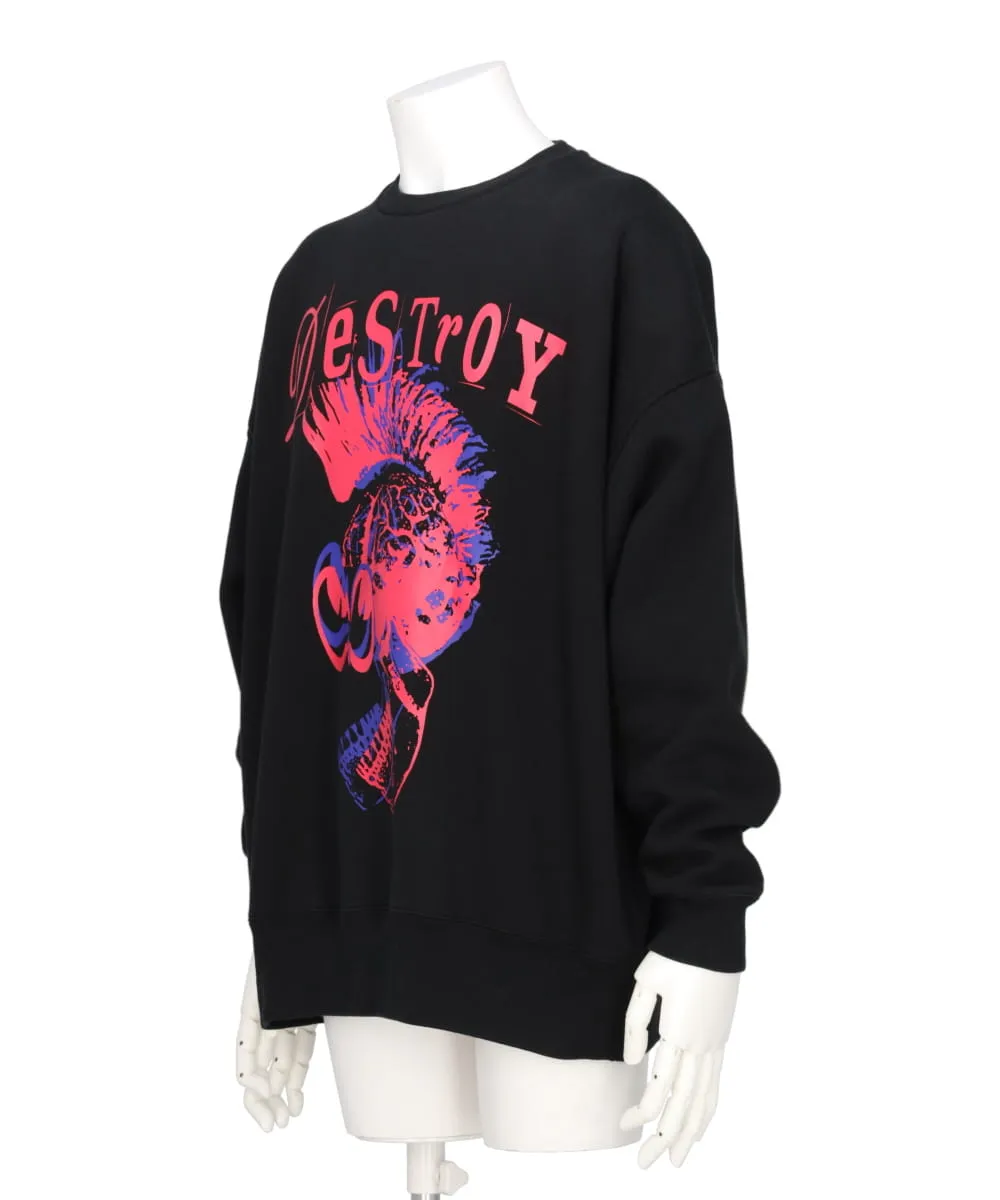 DESTROY PUNK SKULL PULLOVER SWEAT