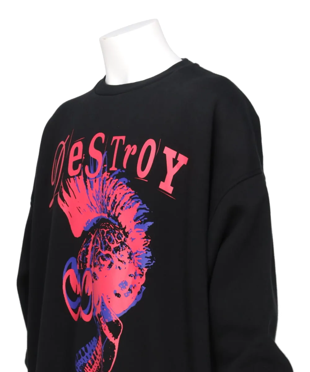 DESTROY PUNK SKULL PULLOVER SWEAT