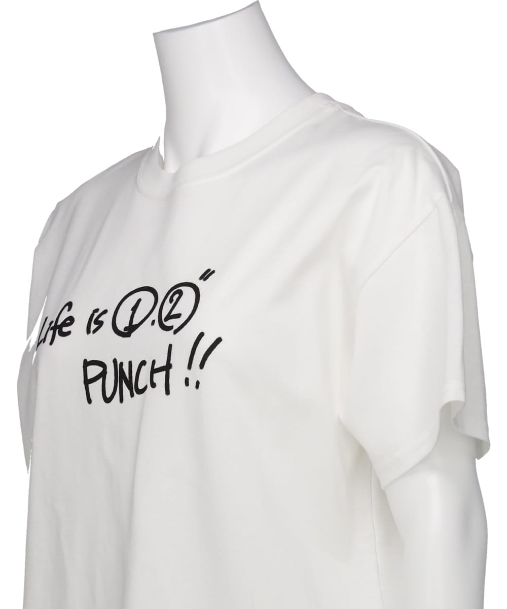 1.2 PUNCH T