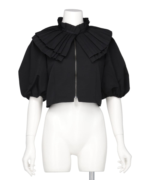 PLEATS NECK CROPPED TOPS